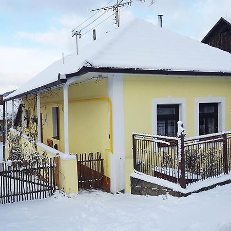 Lately Renovated Country House Trenčín Kültér fotó