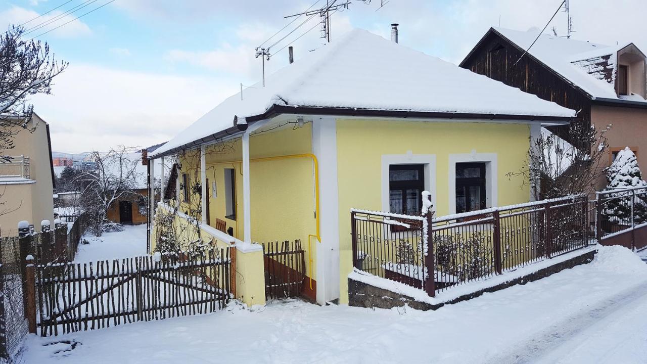 Lately Renovated Country House Trenčín Kültér fotó