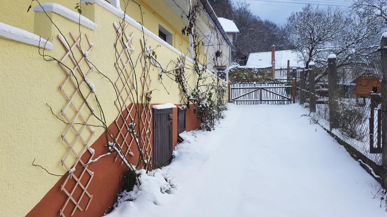 Lately Renovated Country House Trenčín Kültér fotó