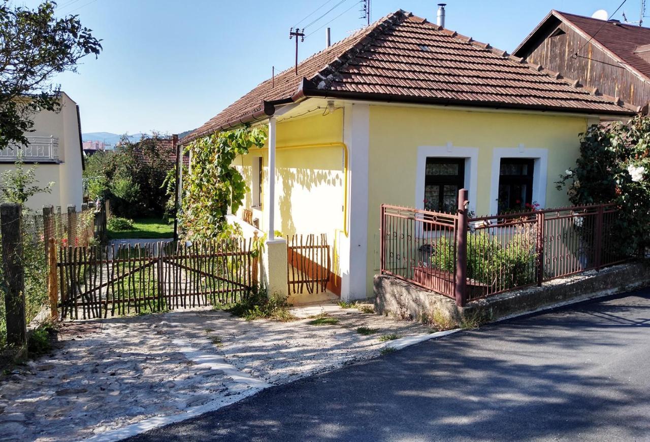 Lately Renovated Country House Trenčín Kültér fotó