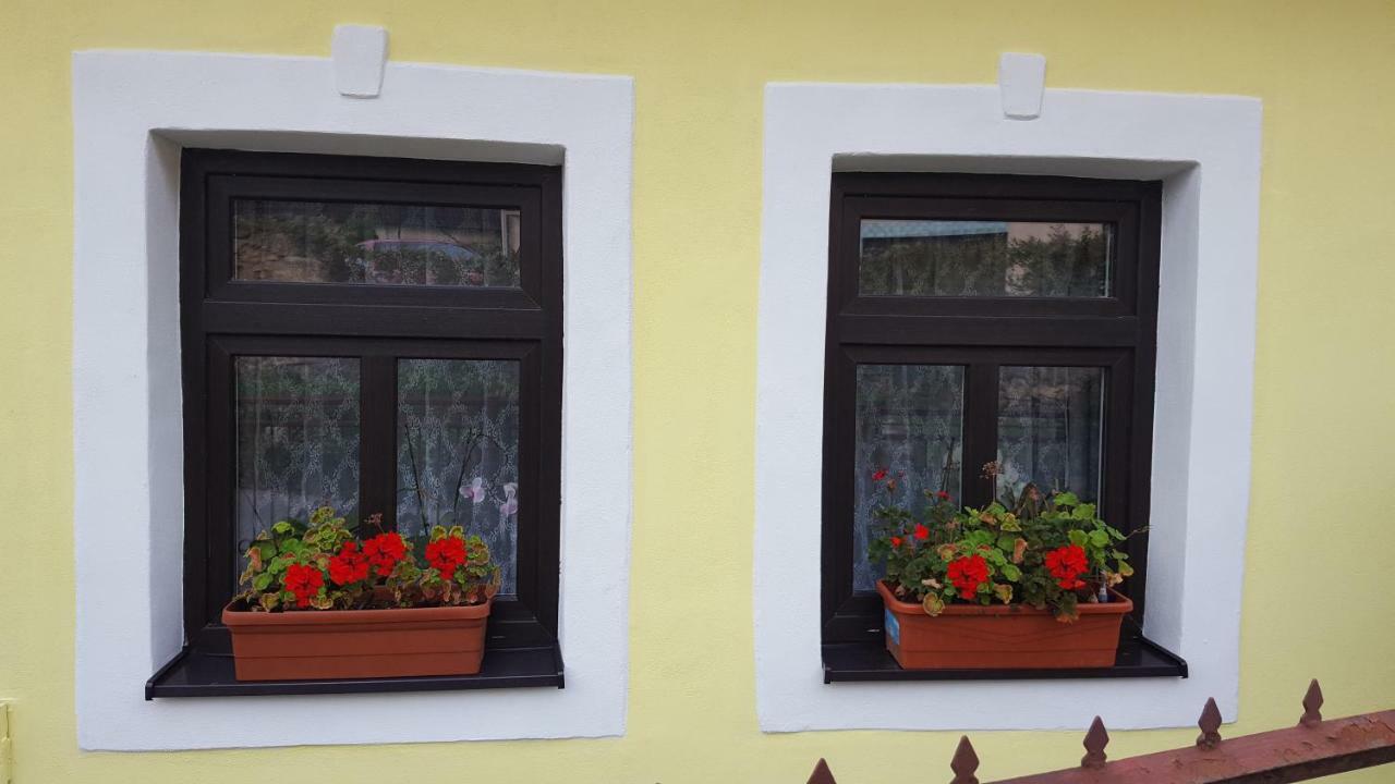Lately Renovated Country House Trenčín Kültér fotó